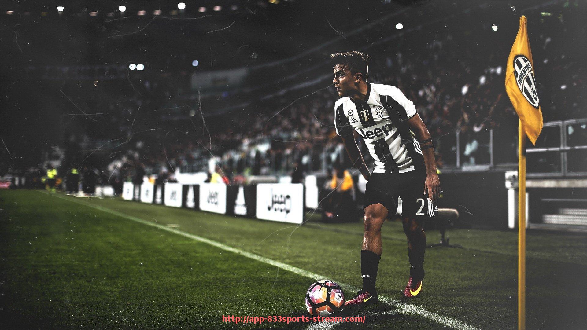 833体育直播-健身器材名称及价格对照表：实用选购参考